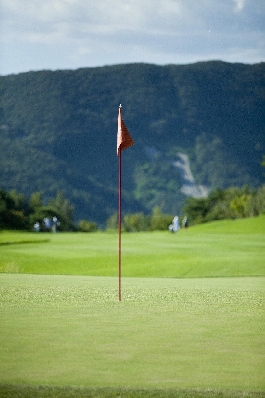 the match golf book