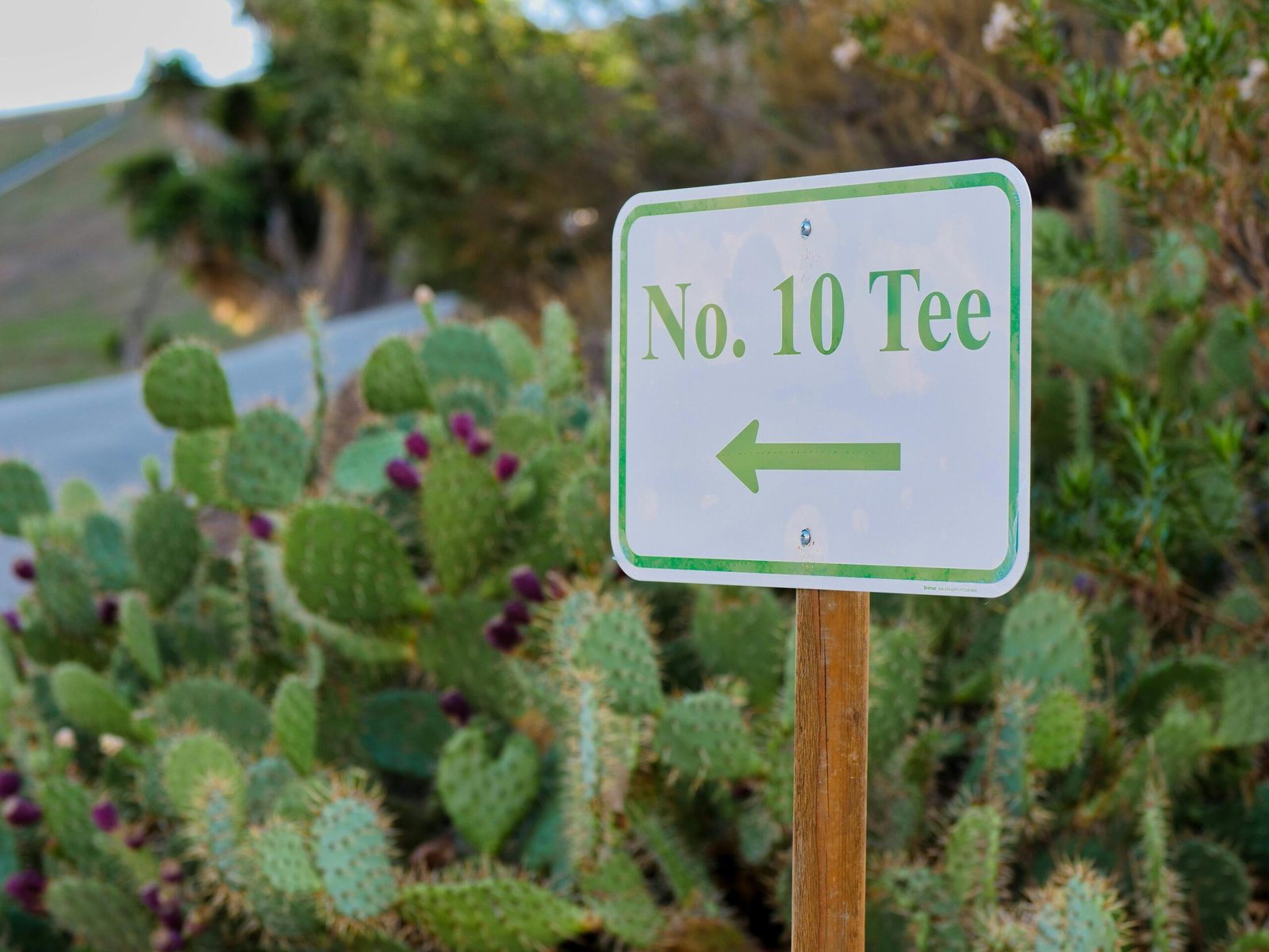 Tee Off in the Desert: Discover the Top Rated Golf Courses in Arizona