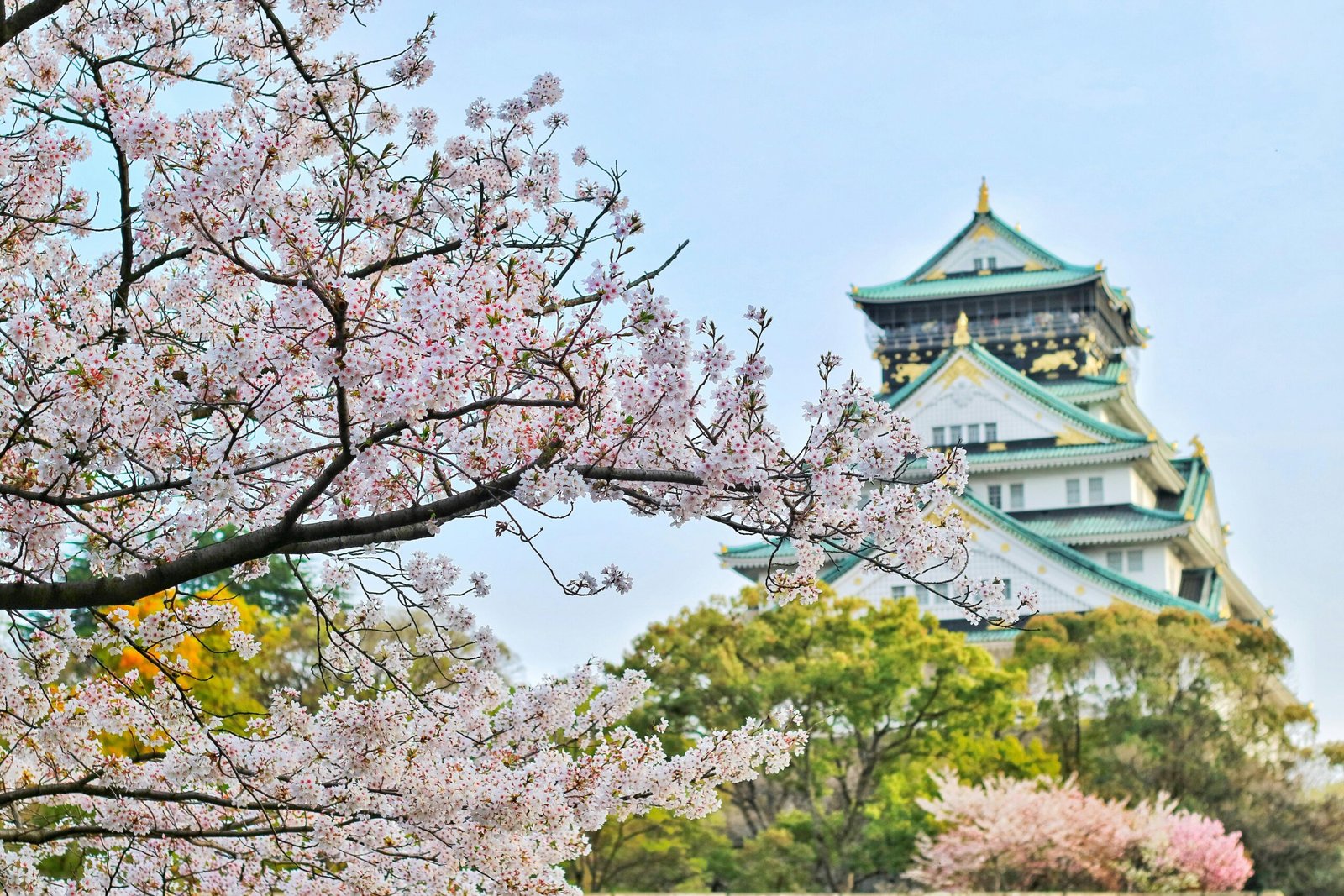 Discovering the Unique Golf Experience in Japan